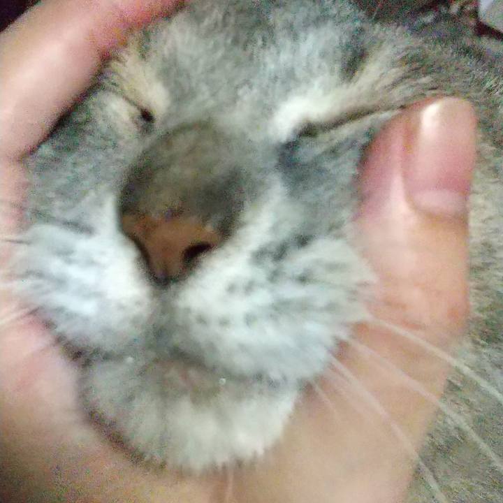 E21ed618 e5bf 4b38 889d 1c10e16f35b3 1659737407166