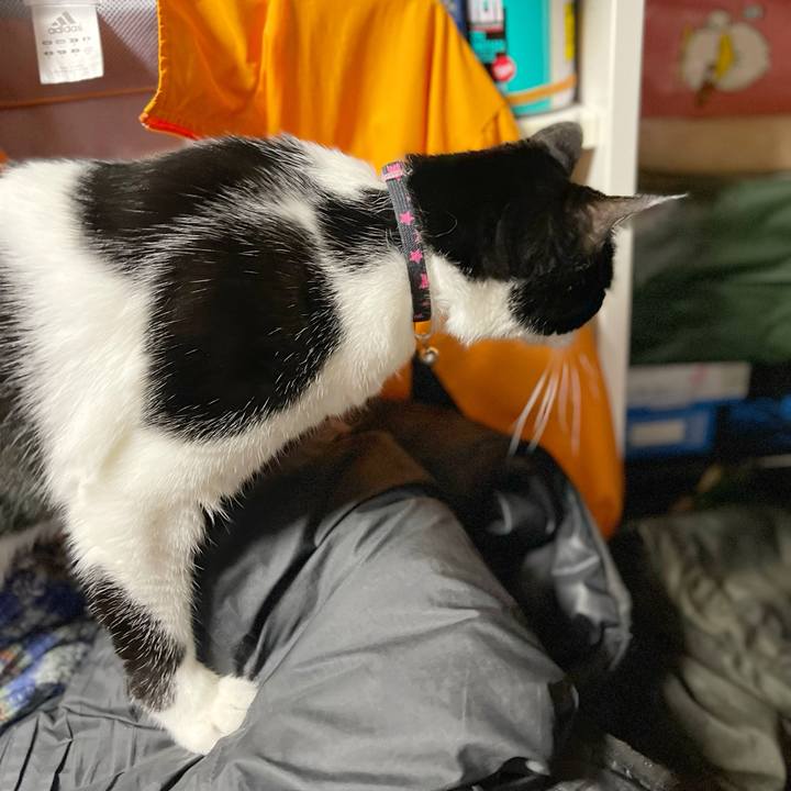 E21ef236 283a 4b56 8199 f728e3cfa868 1765926356038