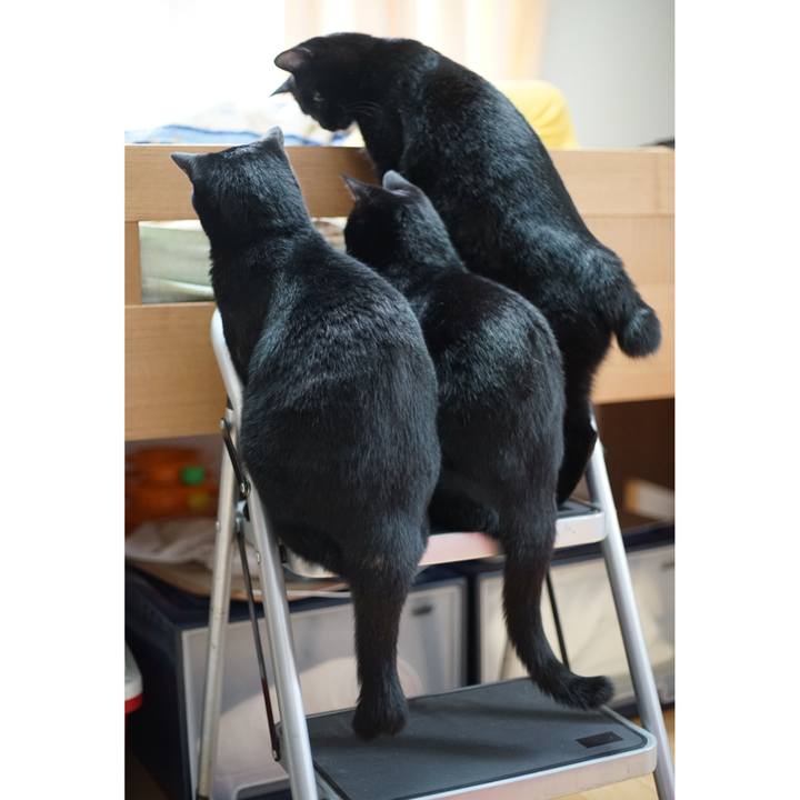 E21f16b9 47d7 4d78 8c7d c6067854963d 1529234476987