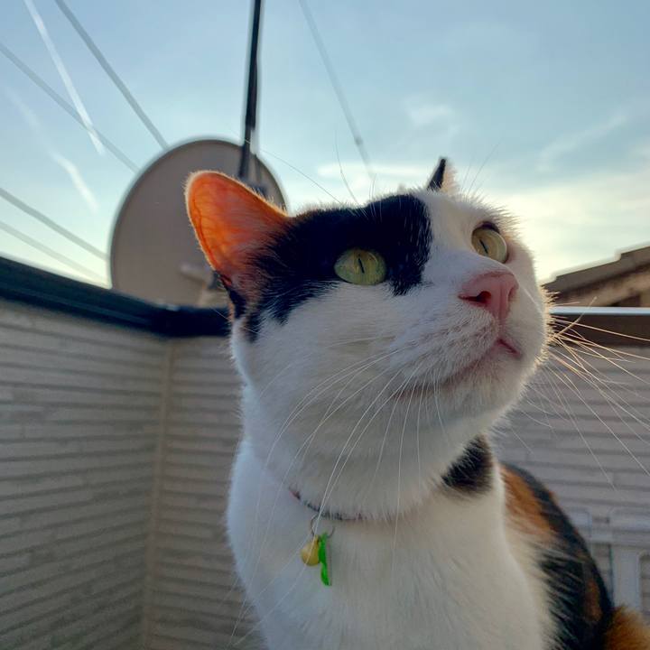 E21f1985 4cf0 490d b0a8 b5303e102afb 1569399859864