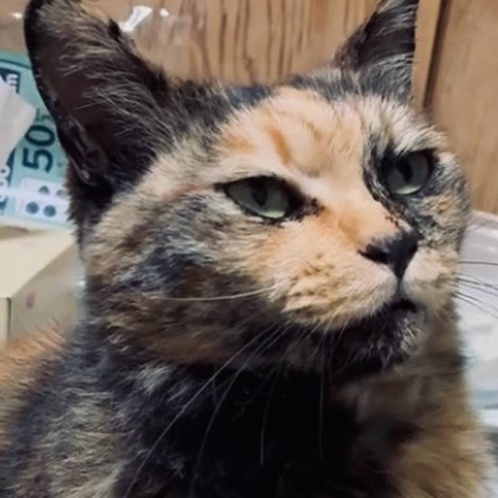 E21f2853 e862 451e bda0 dcdf9c6c02d3 1748289900916