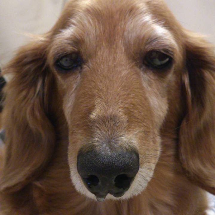 E21f294d e155 48da ac00 e26ddab003cf 1609952703208