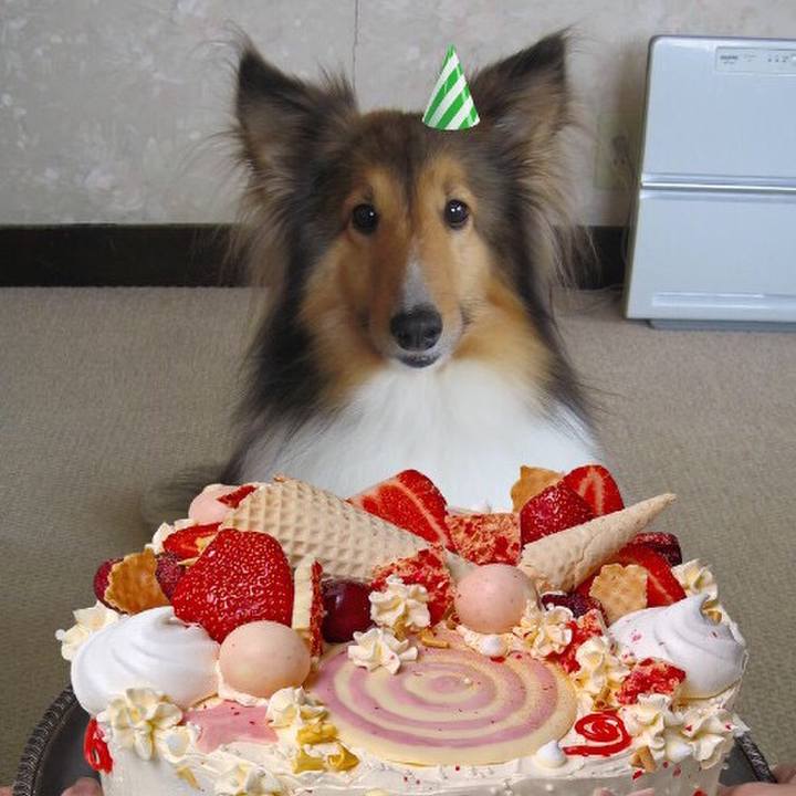 E21f3ec0 3de5 49b7 baa6 e5408a43ee6b 1510930551624