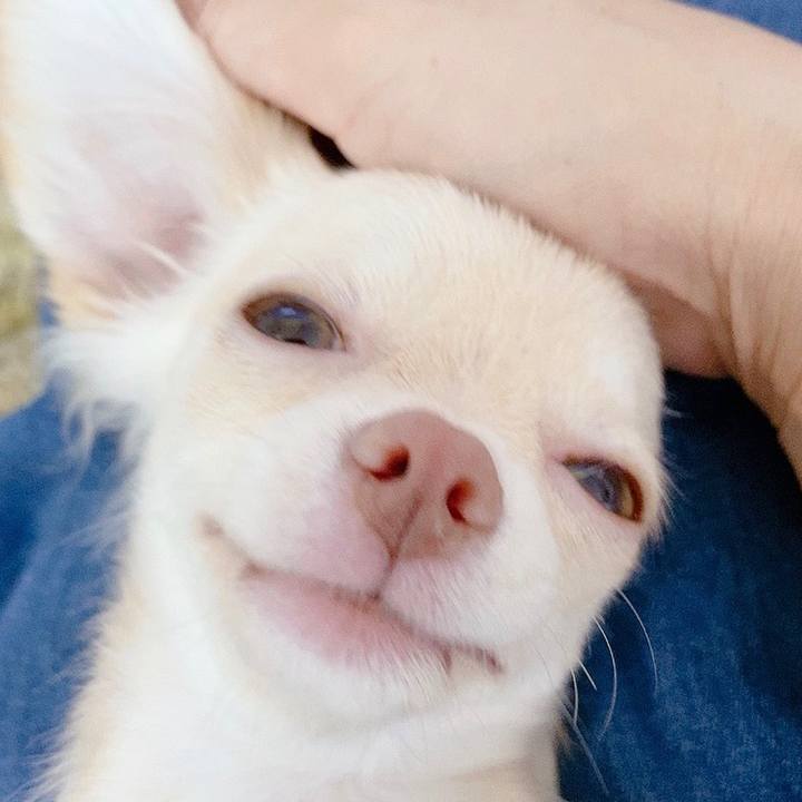 E21f764f 1263 44a8 98f8 e39b30d5440a 1593516912175