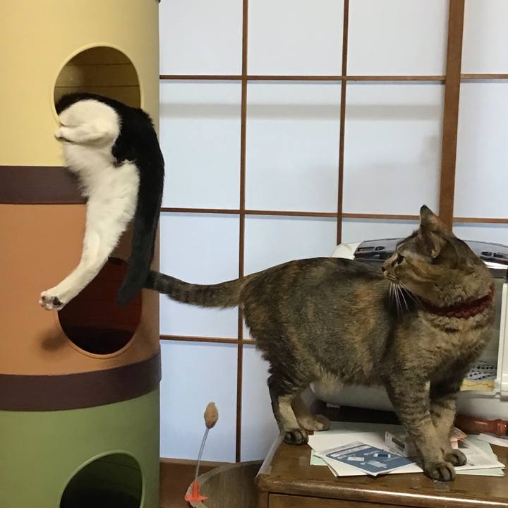 E21fca2c 6a39 4227 91f7 ed2f525aba1a 1639002528787