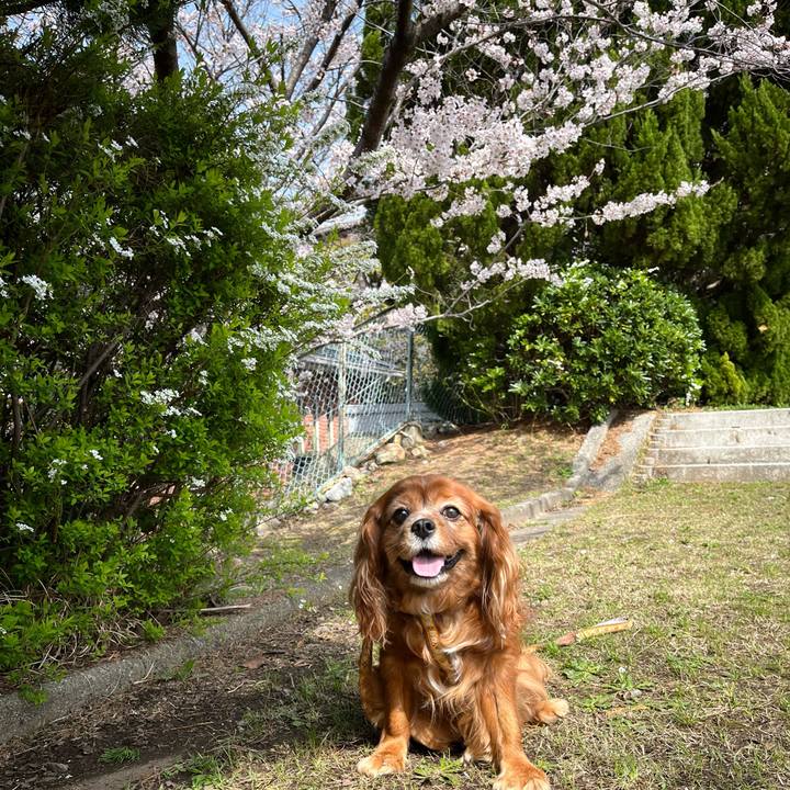 E21fee57 5c62 4ca7 ba61 0126974d3c4b 1712366607057