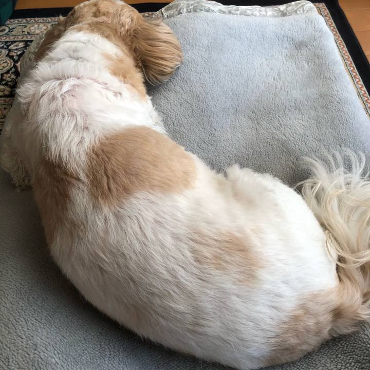 E22007cb 5b42 481a 8cdc c02d57361954 1609720341142