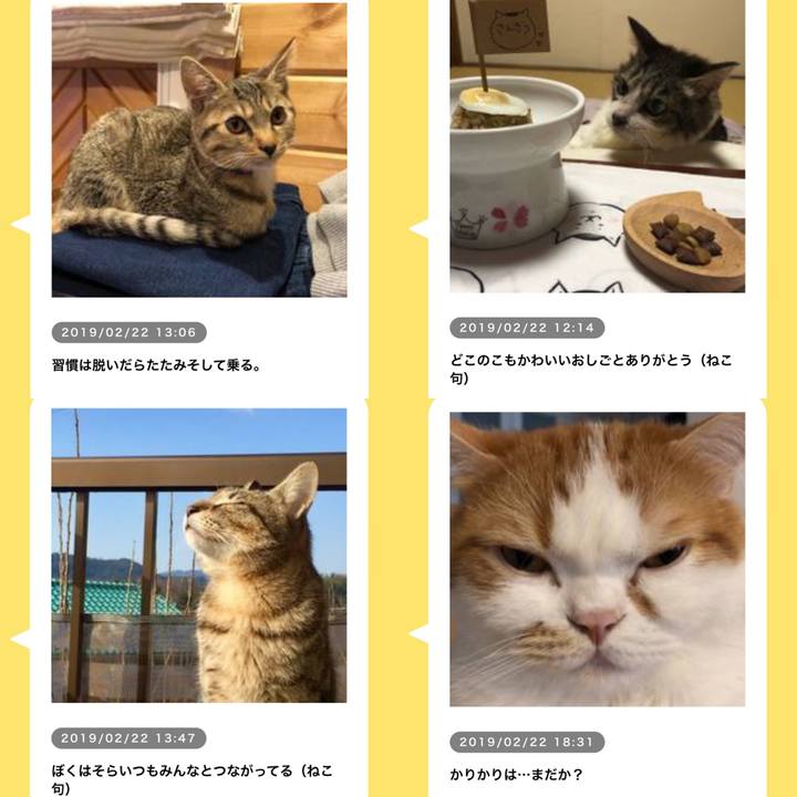 E22080d9 6dbb 4064 b7d9 2bdb712277d6 1550836701711