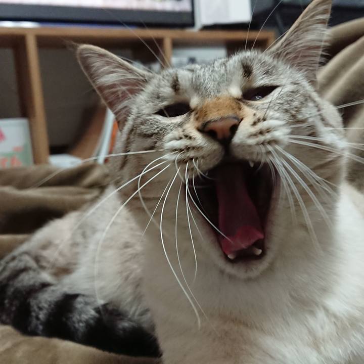 E220a931 76cb 4d02 8afd 7335bd9ad7b3 1512669400366