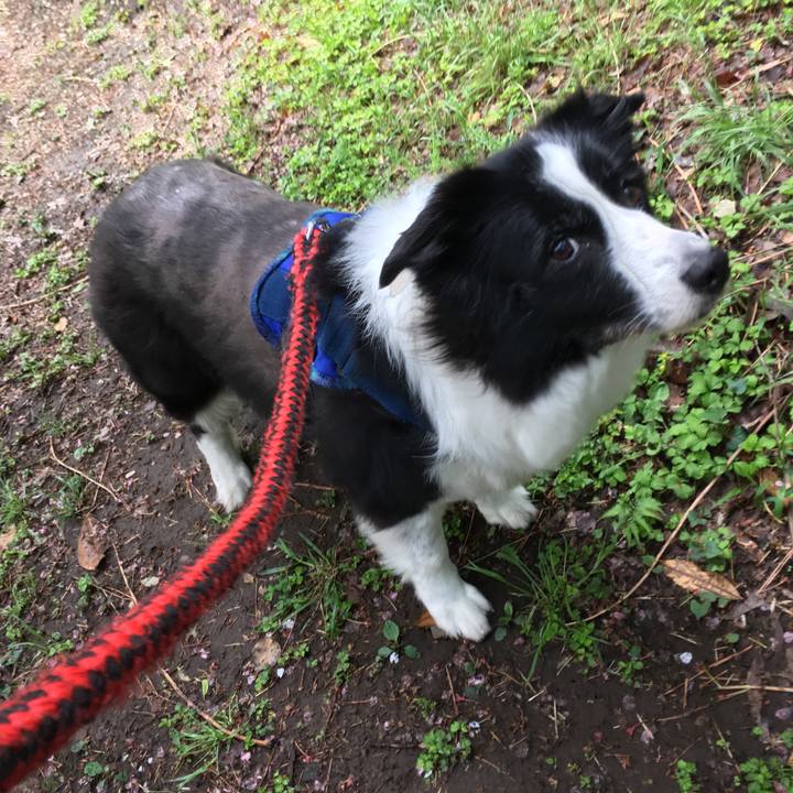 E220b6d7 25d3 41f6 a046 b2047fa65f0d 1508490513211