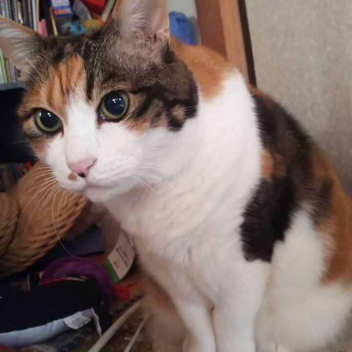 E220bd12 a2d4 46c9 af74 2b10fdc5f62e 1572655895468