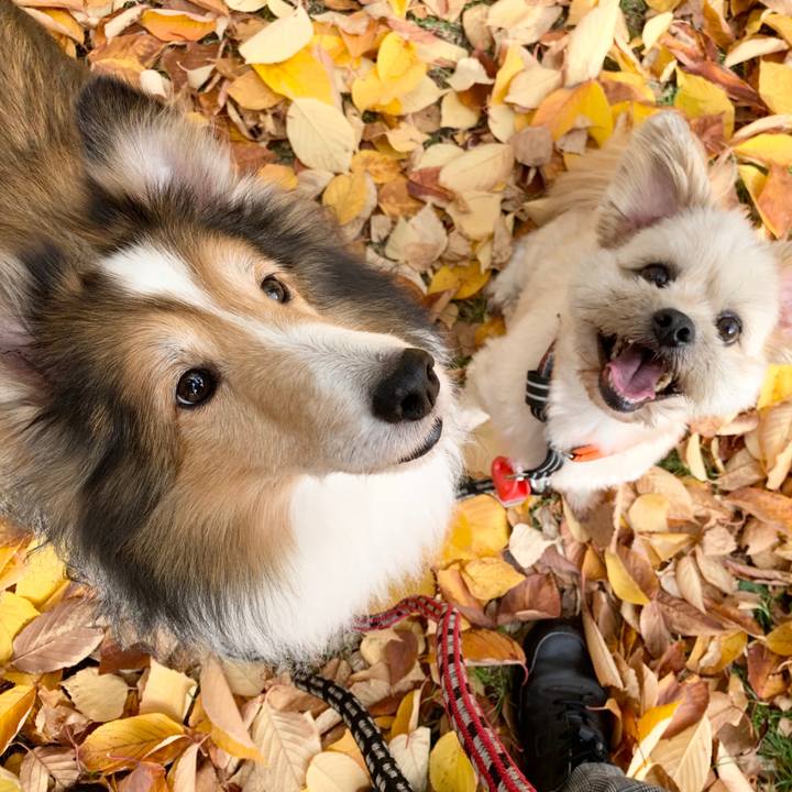 E220d0ac c5fb 4bca 9b0c 555252f4872b 1763627017658