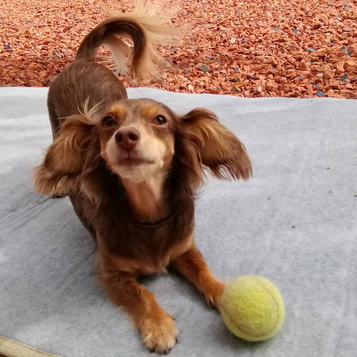 E220e637 e233 4130 9f0e 575df5c7e913 1537161831228