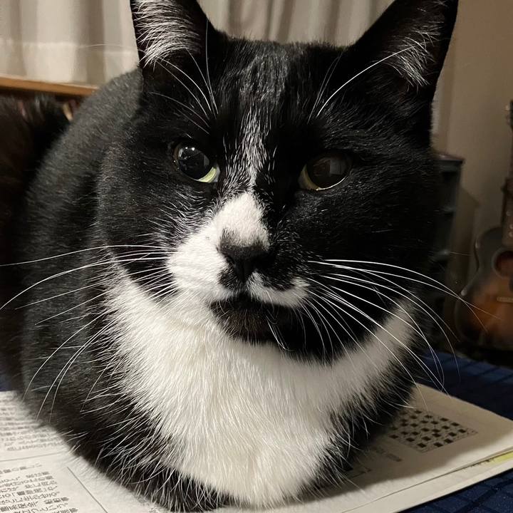 E2210de0 def2 4996 a4f0 3b303feea4b3 1684380095664