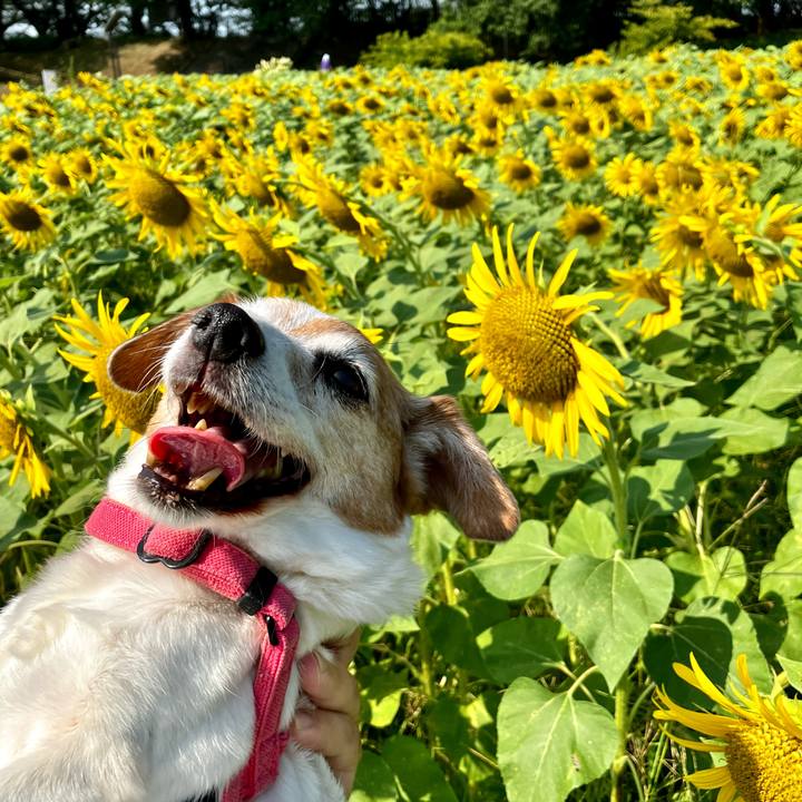 E2211988 6c19 4c38 842d 09b53b870a48 1722745732307