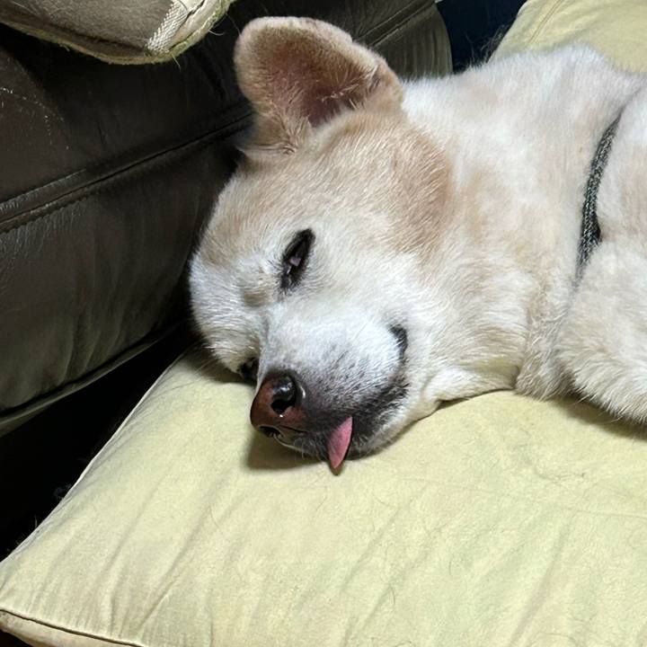 E22132cf da40 4039 8124 aed5d38e58b8 1729424129729