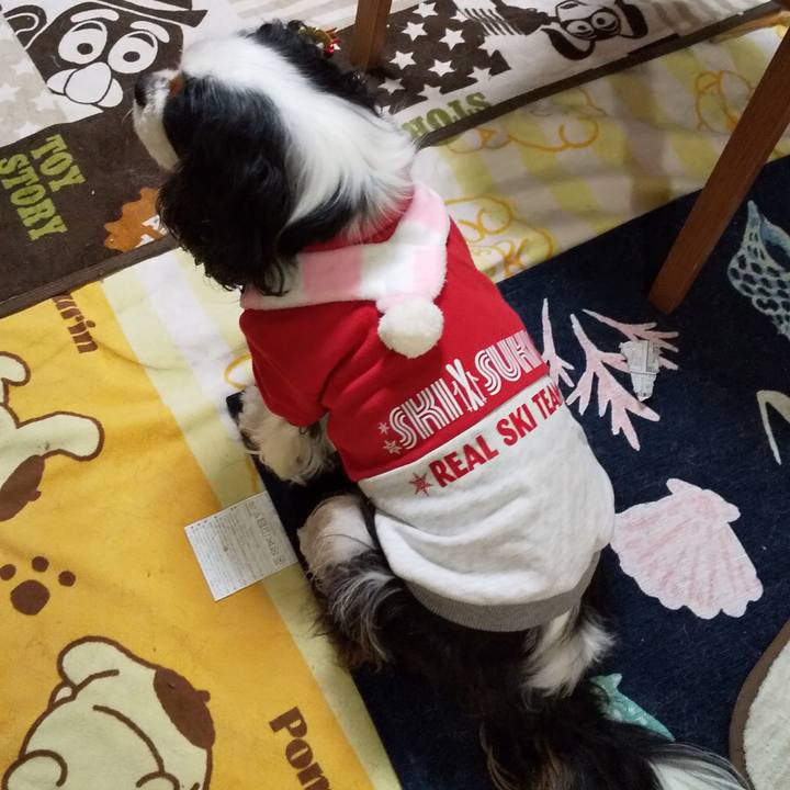 E2214028 b20c 49cf a9ca 4e35e286aa3d 1577285309194