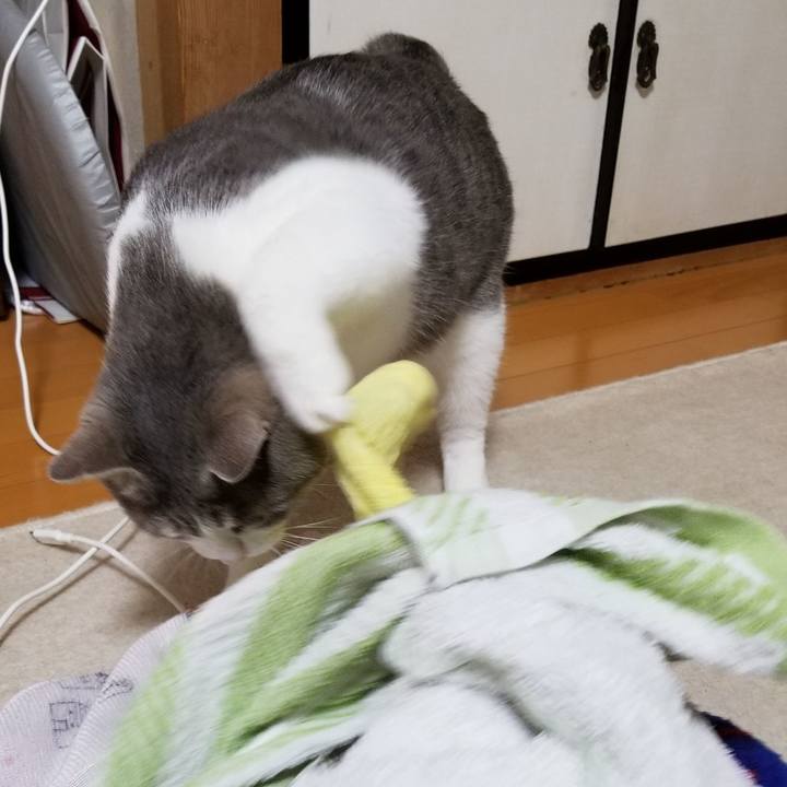 E2215d14 1ed3 45f4 96a3 b1c8b89ca596 1528381890976