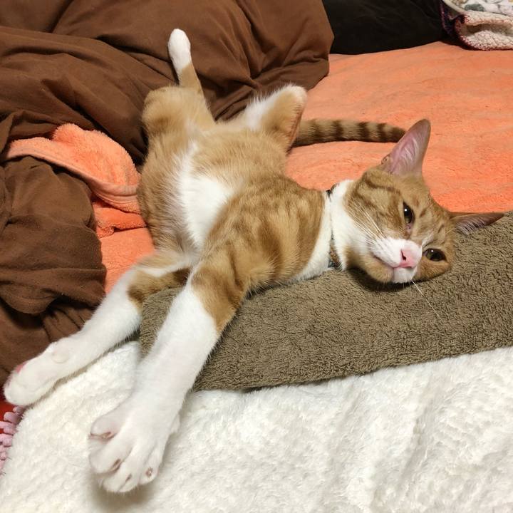 E221720a 4fd0 4ced be48 2bf2b1b5119f 1573562320409