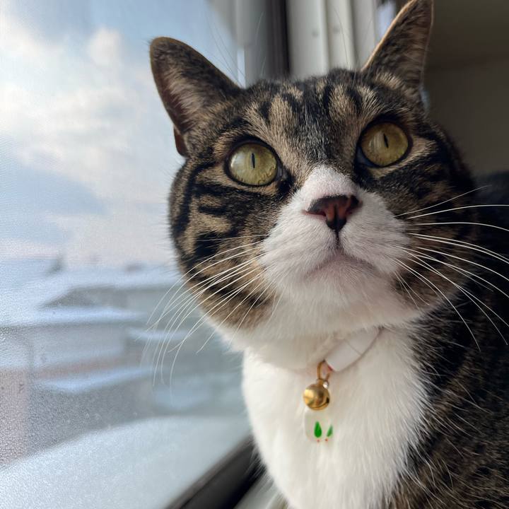 E22179e4 5623 4fe8 a33d 2d150c569d7a 1774051025254