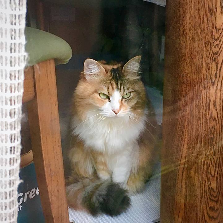 E2218344 de9d 4d0b b674 5ef43f84dad6 1593416026439