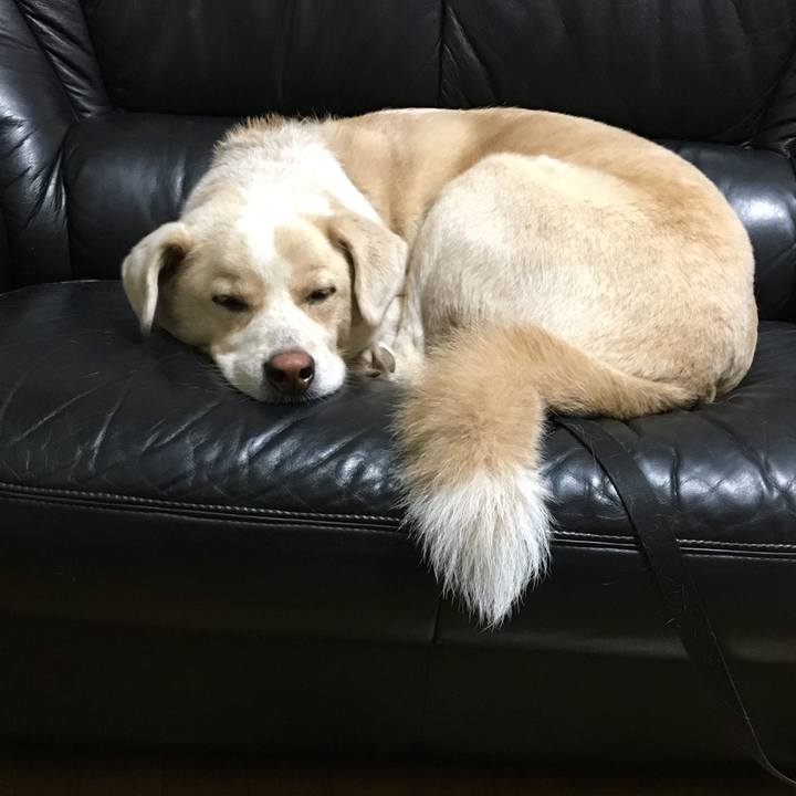 E22193a4 53f8 4025 b63f 8f8a329474bf 1532961464409