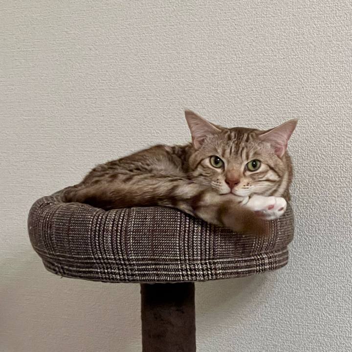 E221af2a c2d2 462e 954a 240c23d2625d 1653260025954