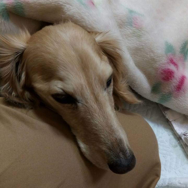 E221b916 5a50 44d8 a2c7 f02e5f3e3855 1556272594576