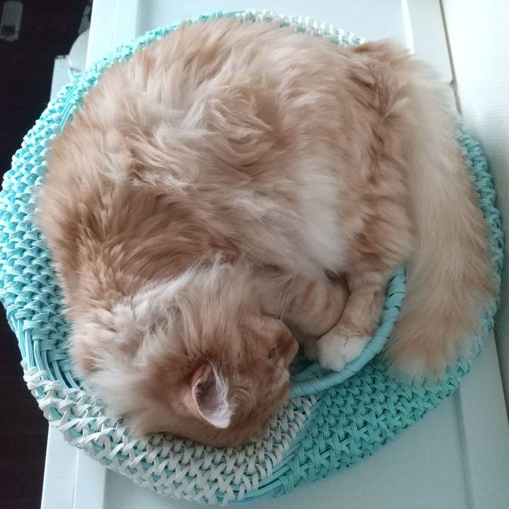 E221d639 1aa7 4fac 93b1 9ecdfe317a3c 1653099331053