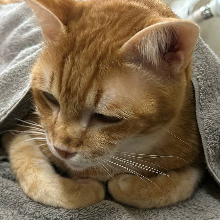 E221ec28 76e8 4080 9f7e c917e27b054e 1679094282810