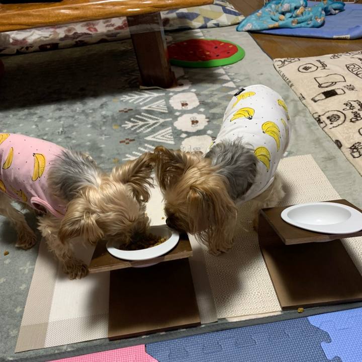 E221fe80 2914 4537 b0bc 3d147f7ceeb3 1613988211537