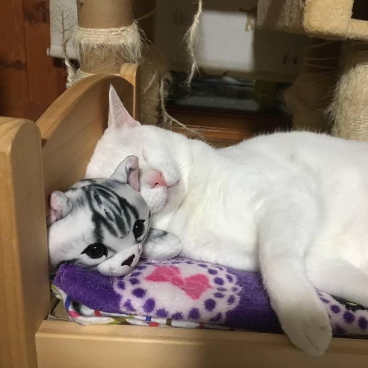 E222df80 e98e 485f a1d6 b77ca1ccdb24 1531924874008