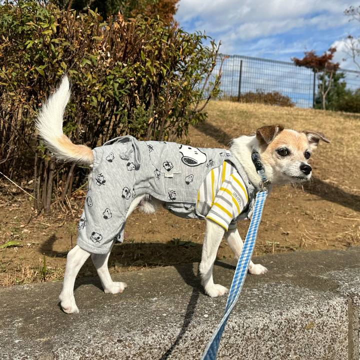 E222f3dd aaa7 4653 807e 1f6ae0ac4f21 1667794852352