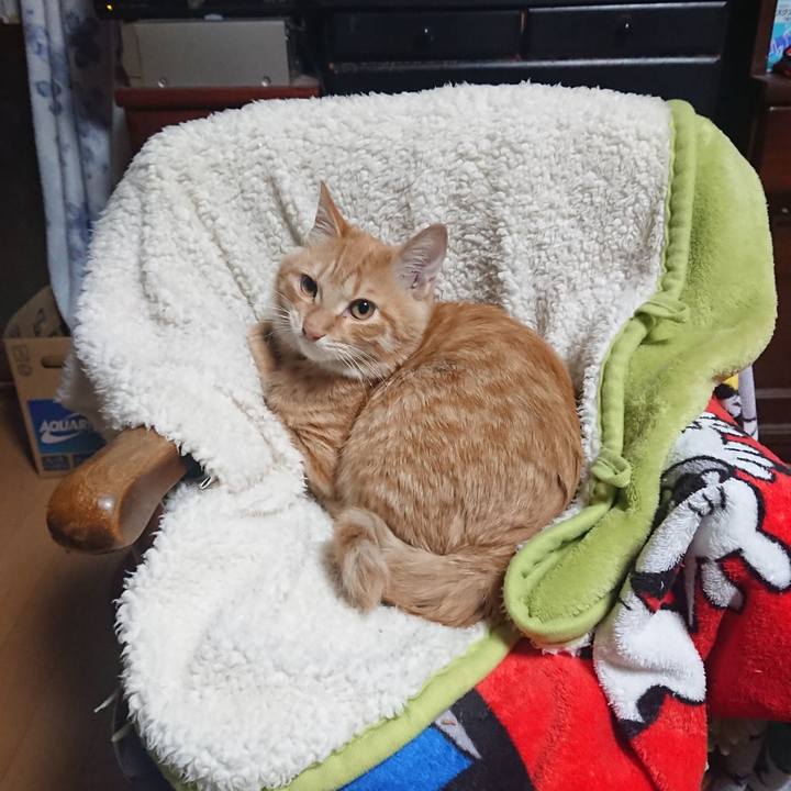 E223544b 32b1 483d 84b8 75c8fdca0b90 1636237807632