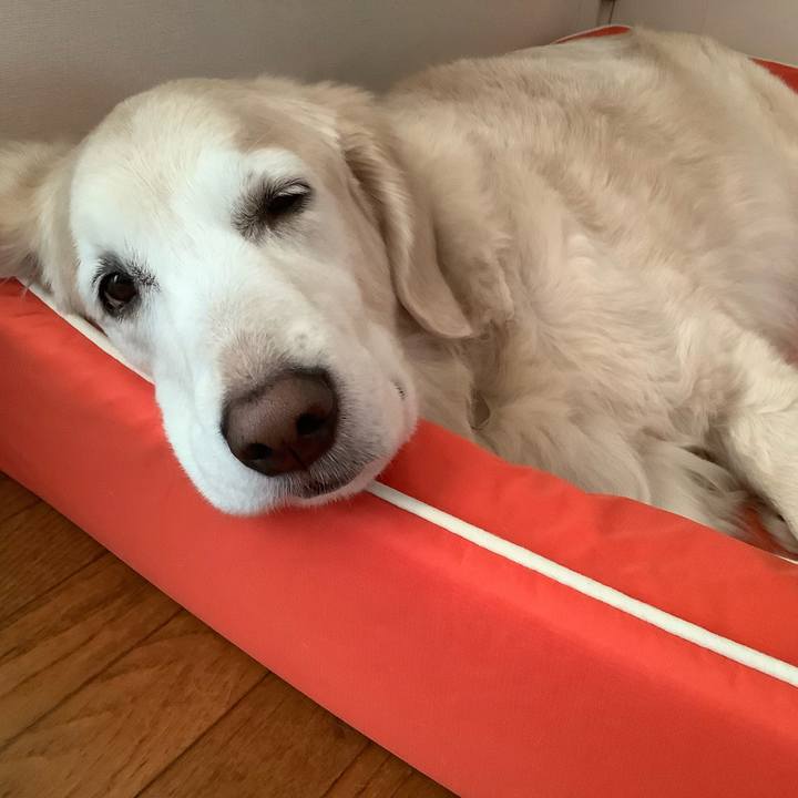 E2235e4f 3a19 4710 86d5 9f41e6793c84 1667859181938