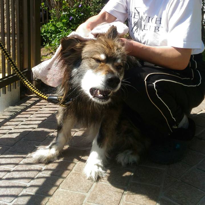 E224602f 0256 4f8d 8c55 1f00b1e9addf 1555423000674