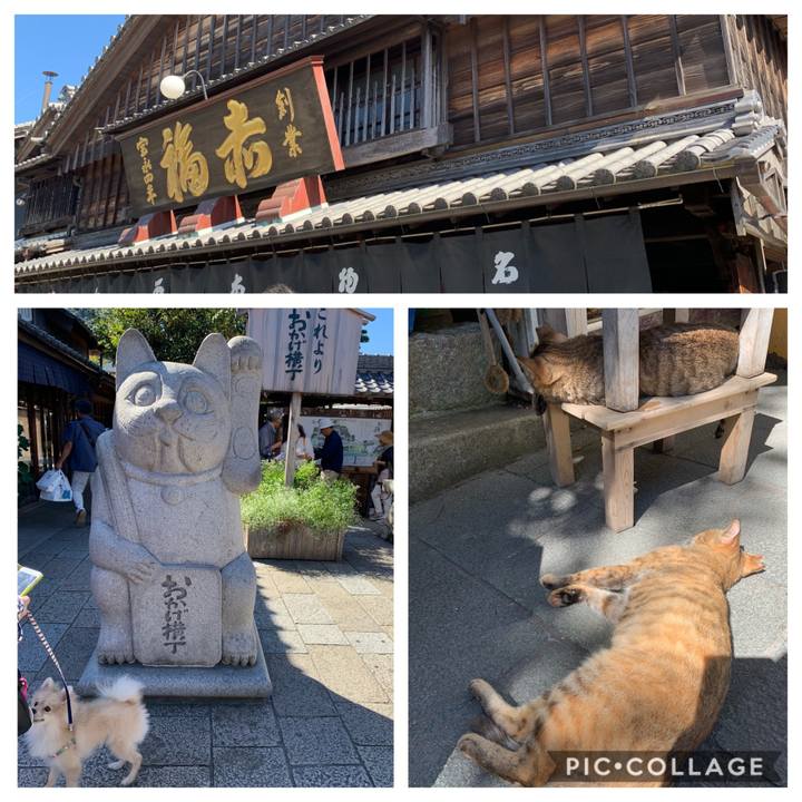 E22461e4 3fb4 4413 8eb3 636e192772b5 1570610079484