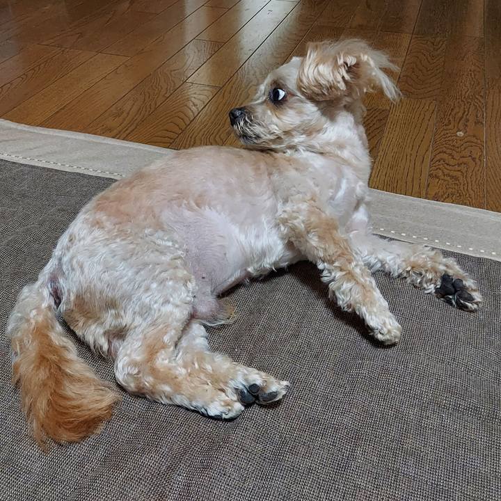 E2247881 8c39 450f bbba a96291ae470b 1624839636174