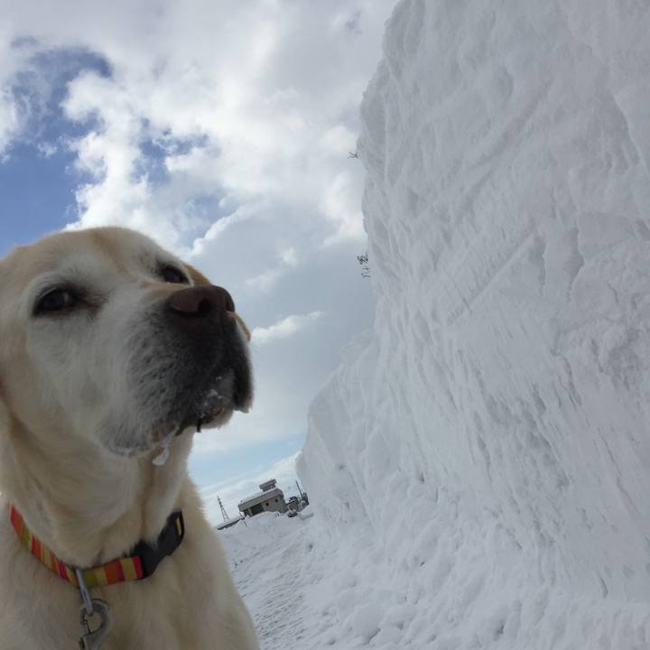 E22481cd ebf3 4ed3 af07 a7df453a04b0 1609862929680