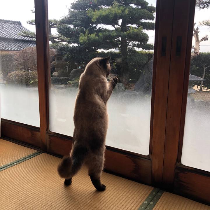 E224a5eb 0c8b 44dc be6a caea0c3ff049 1610958736104