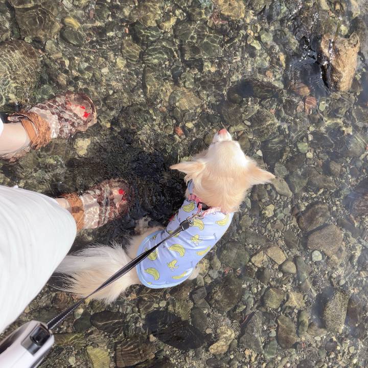 E224d773 087d 4010 addb d5bc50c25b63 1755174120945