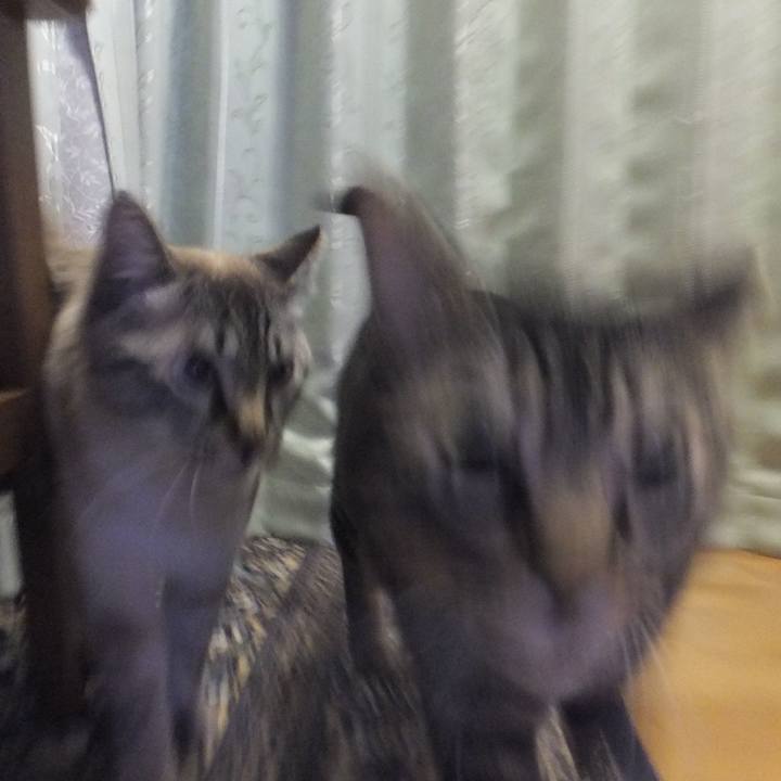 E224ee46 1756 4d50 9ba3 fa43c067499b 1523851985318