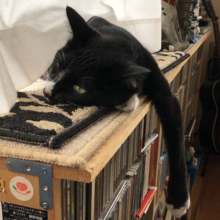 E22509a6 96bd 4db0 855e 43967e57447b 1567141689671