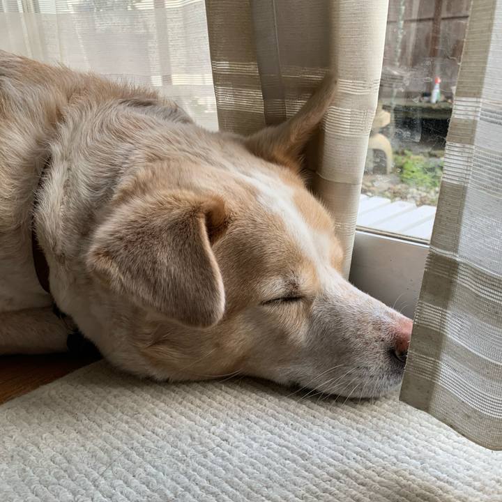 E2251f78 78e6 4300 85ac e1800912e05c 1584256034504