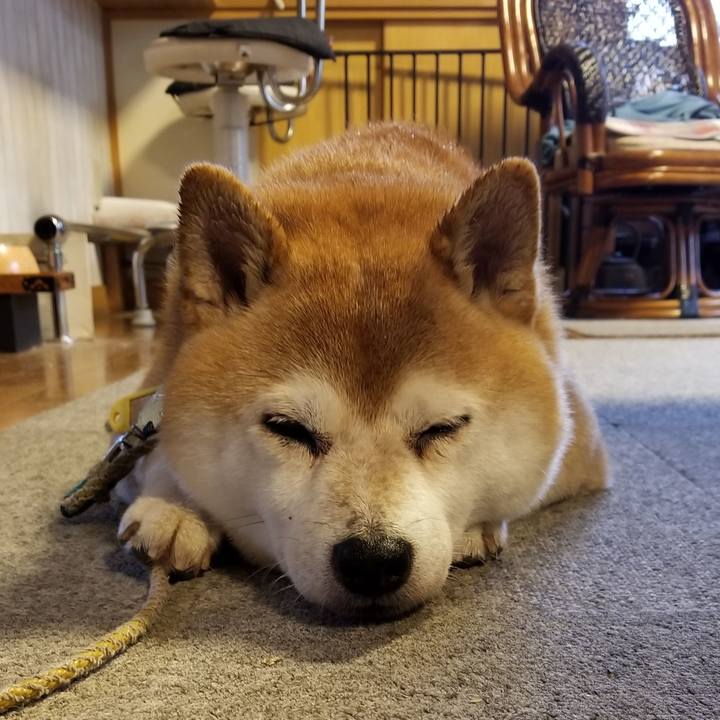 E22535fa e362 4576 b60e b5c3532e147c 1634019826098