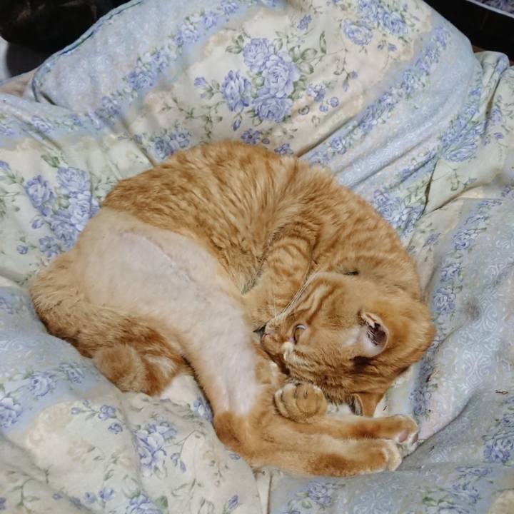 E2253fe3 3602 4a99 9cfa c23d234d7ab9 1654777829231