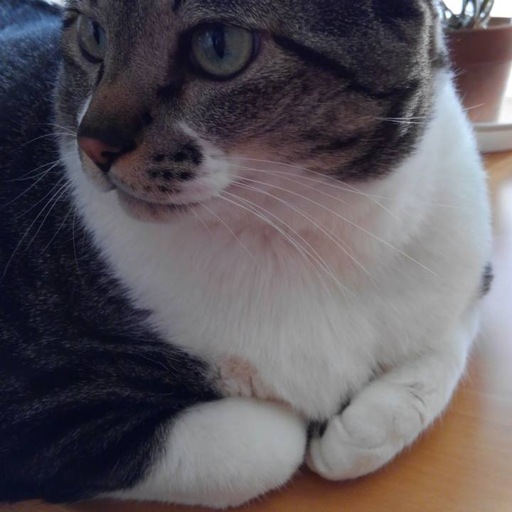 E2254266 8e8d 4fbb 9bc0 abb6ebdf6d98 1635497530905