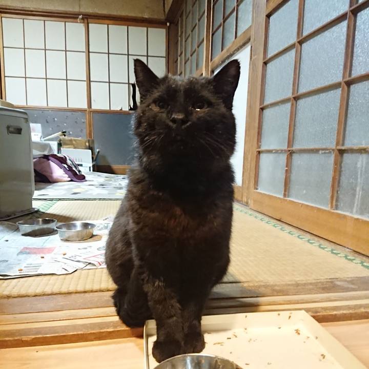 E225807f 8034 4787 b3d1 d8fb91177050 1619608948928