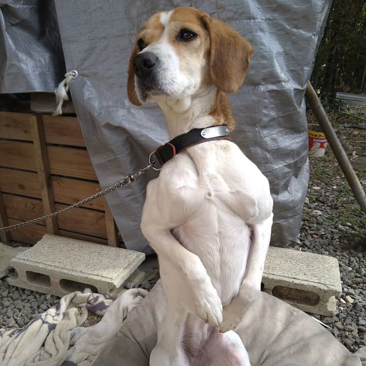 E225a57f 87da 4a9c b22e 94da018b2eda 1651028980510