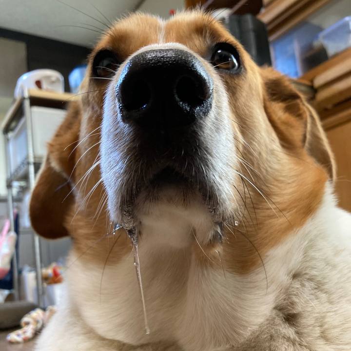 E2264ac2 ddba 4708 8be4 39b3af66ac2f 1654429157661